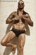 Foto Annunci Vip Boy Pisa Robby Torello 3341579418 - 18