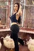 Foto Annunci Vip Escort Bergamo Gabriella Hott 3930121014 - 13