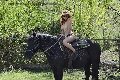 Foto Annunci Vip Escort Chiavari Karyna 3342341880 - 16