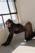 Foto Annunci Vip Escort Pisa Loren Brasil 3933237965 - 4