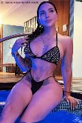 Foto Annunci Vip Escort Roma Nicolette 3938153445 - 4