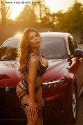 Foto Annunci Vip Escort Siena Evelyn 3444491708 - 22