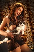 Foto Annunci Vip Escort Verbania Alessa Venezuelana 3533541305 - 34