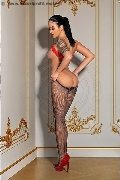 Foto Annunci Vip Girl Arezzo Sirena 3894465126 - 9