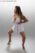 Foto Annunci Vip Girl Curitiba Marcella Mendez 00554188248523 - 1