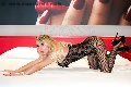 Foto Annunci Vip Girl Foggia Alexandra Miss 3468002809 - 45