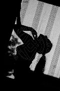 Foto Annunci Vip Girl Trapani Sharon Mei 3920646614 - 35