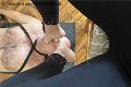 Foto Annunci Vip Mistress Cuneo Julia 3762329100 - 13