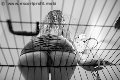 Foto Annunci Vip Mistress Verona Lady Giuliette 3486833721 - 16