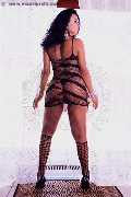 Foto Annunci Vip Trans Alessandria Pamela Trans Fitness 3511205888 - 93
