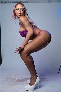 Foto Annunci Vip Trans Bela Vista Carolina Lins 005511914219146 - 1