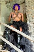 Foto Annunci Vip Trans Bergamo Erotika Flavy Star 3387927954 - 56