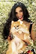 Foto Annunci Vip Trans Bologna Ariadna 3887519396 - 62