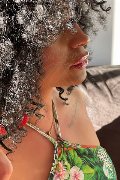 Foto Annunci Vip Trans Bologna Serena 3271309016 - 4