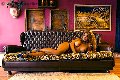 Foto Annunci Vip Trans Brescia Jessica Aryani 3932507943 - 23