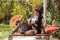 Foto Annunci Vip Trans Firenze Diana Ferraz 3271287566 - 91