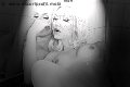Foto Annunci Vip Trans Francoforte Mary Ts 00491751281117 - 7