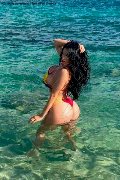 Foto Annunci Vip Trans Gallarate Alessandre Xxii 3317852006 - 39