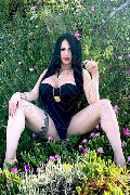 Foto Annunci Vip Trans Gallarate Alessandre Xxii 3317852006 - 36