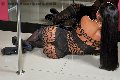 Foto Annunci Vip Trans Milano Aline Fenaroly 3207485765 - 106