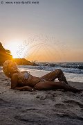 Foto Annunci Vip Trans Milano Amber 3474004169 - 3