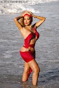 Foto Annunci Vip Trans Milano Amber 3474004169 - 11