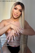Foto Annunci Vip Trans Milano Angel Bunny 3474642611 - 1