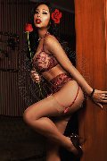 Foto Annunci Vip Trans Milano Barbara Kenps 3886508553 - 64