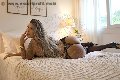 Foto Annunci Vip Trans Milano Gabriella Giaretta 3314922831 - 7