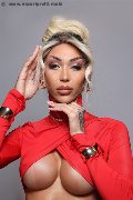 Foto Annunci Vip Trans Milano Karollayne Arruda 3277205075 - 41