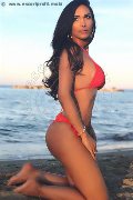 Foto Annunci Vip Trans Milano Leticia Freitas 3282490865 - 62