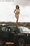 Foto Annunci Vip Trans Modena Vanessa Hilton 3245846577 - 110