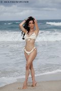 Foto Annunci Vip Trans Modena Vanessa Hilton 3245846577 - 103