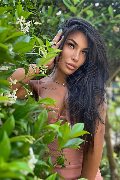 Foto Annunci Vip Trans Parma Mandy Asiatica 3270531479 - 5