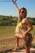 Foto Annunci Vip Trans Pavia Bruna Xxl 3295914684 - 4