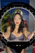 Foto Annunci Vip Trans Reggio Calabria Desirre 3922832689 - 7