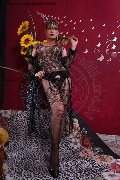 Foto Annunci Vip Trans Savona Lisa Valle 3341087500 - 15
