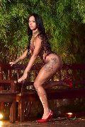 Foto Annunci Vip Trans Torino Sophie Vergara 3516700925 - 14