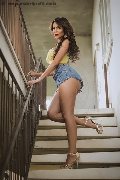 Foto Annunci Vip Trans Torre Del Lago Puccini Pamy 3891473351 - 67