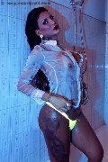 Foto Annunci Vip Trans Viareggio Alessandra Nogueira Diva Porno 3476793328 - 59