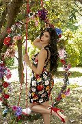 Foto Annunci Vip Transescort Bologna Ariadna 3887519396 - 74