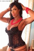 Foto Annunci Vip Transescort Brescia Leona Pornostar 3533207664 - 11
