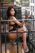 Foto Annunci Vip Transescort Cattolica Jennie 3510890949 - 83