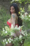 Foto Annunci Vip Transescort Cinisello Balsamo Angell 3339242519 - 1