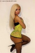 Foto Annunci Vip Transescort Cuneo Evelyn Domenicana 3516154564 - 9