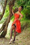 Foto Annunci Vip Transescort Fortaleza Keylla Marques Pornostar Xxl 3337112655 - 71