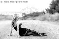 Foto Annunci Vip Transescort Francoforte Ts Angelina Crazy Sexy 00491788993648 - 29