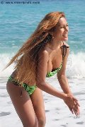 Foto Annunci Vip Transescort Liisa Asiatica Ladyboy 3489026722 - 311