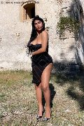 Foto Annunci Vip Transescort Matera Delizia Malizia 3511575349 - 4