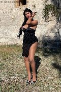 Foto Annunci Vip Transescort Matera Delizia Malizia 3511575349 - 2